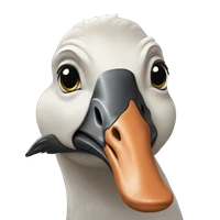 David Liu's profile picture