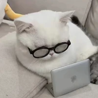 Jenius's profile picture